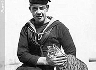 cat-and-sailor