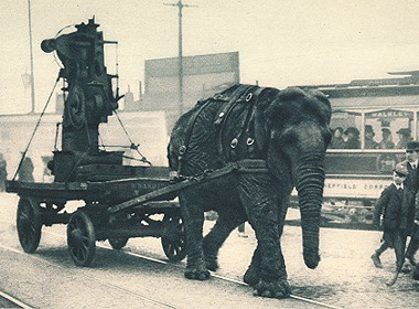 military-elephant